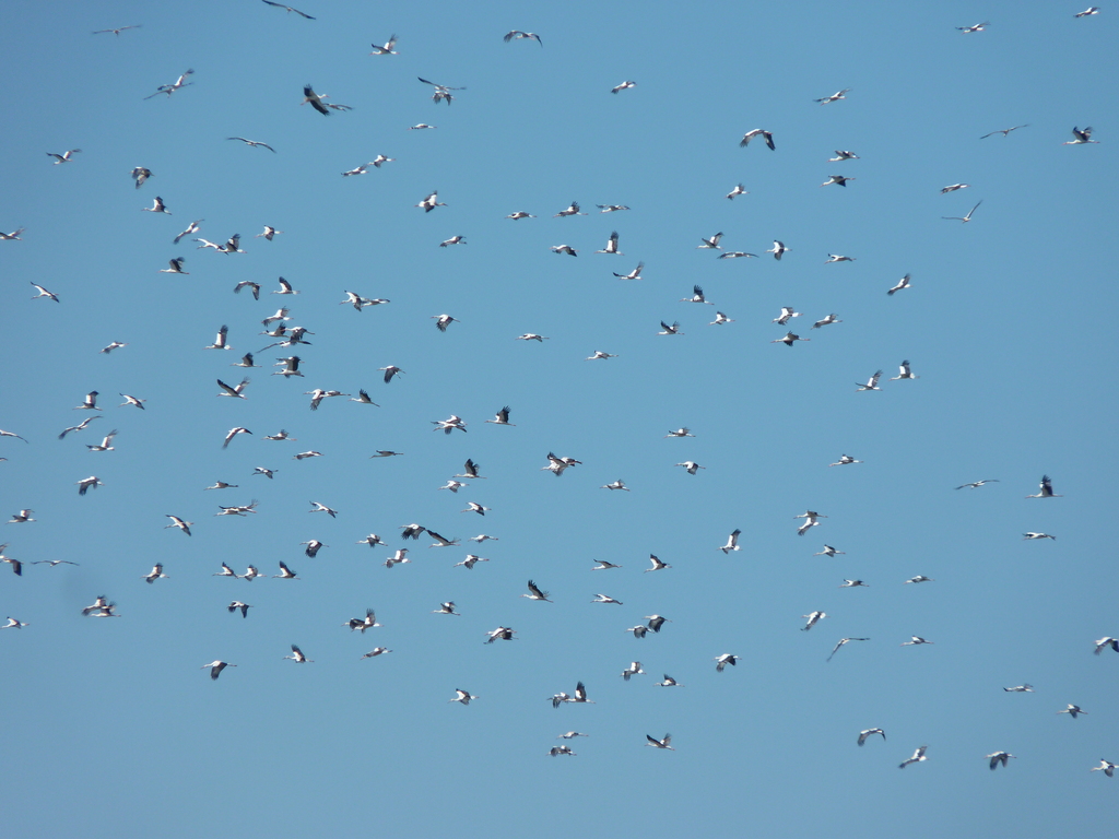 No s'ha trobat l'arxiu